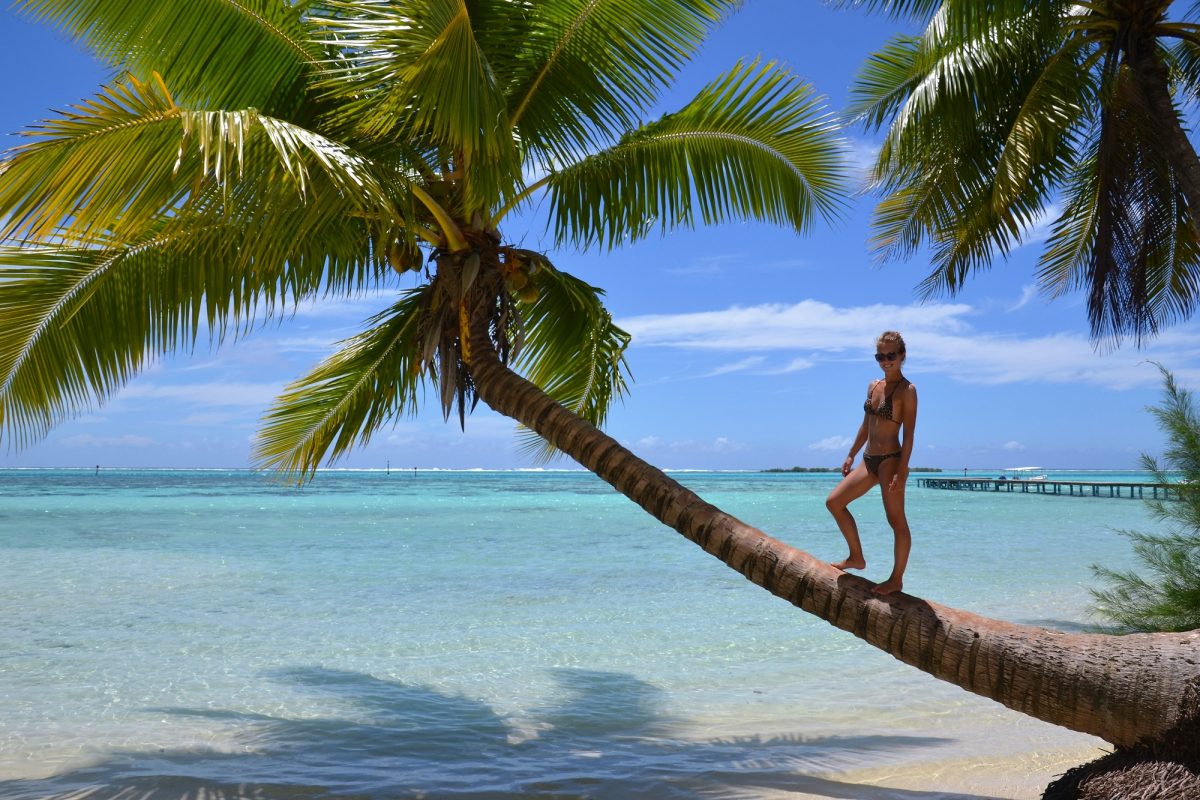 Girl standing on palmtree at beach Moorea