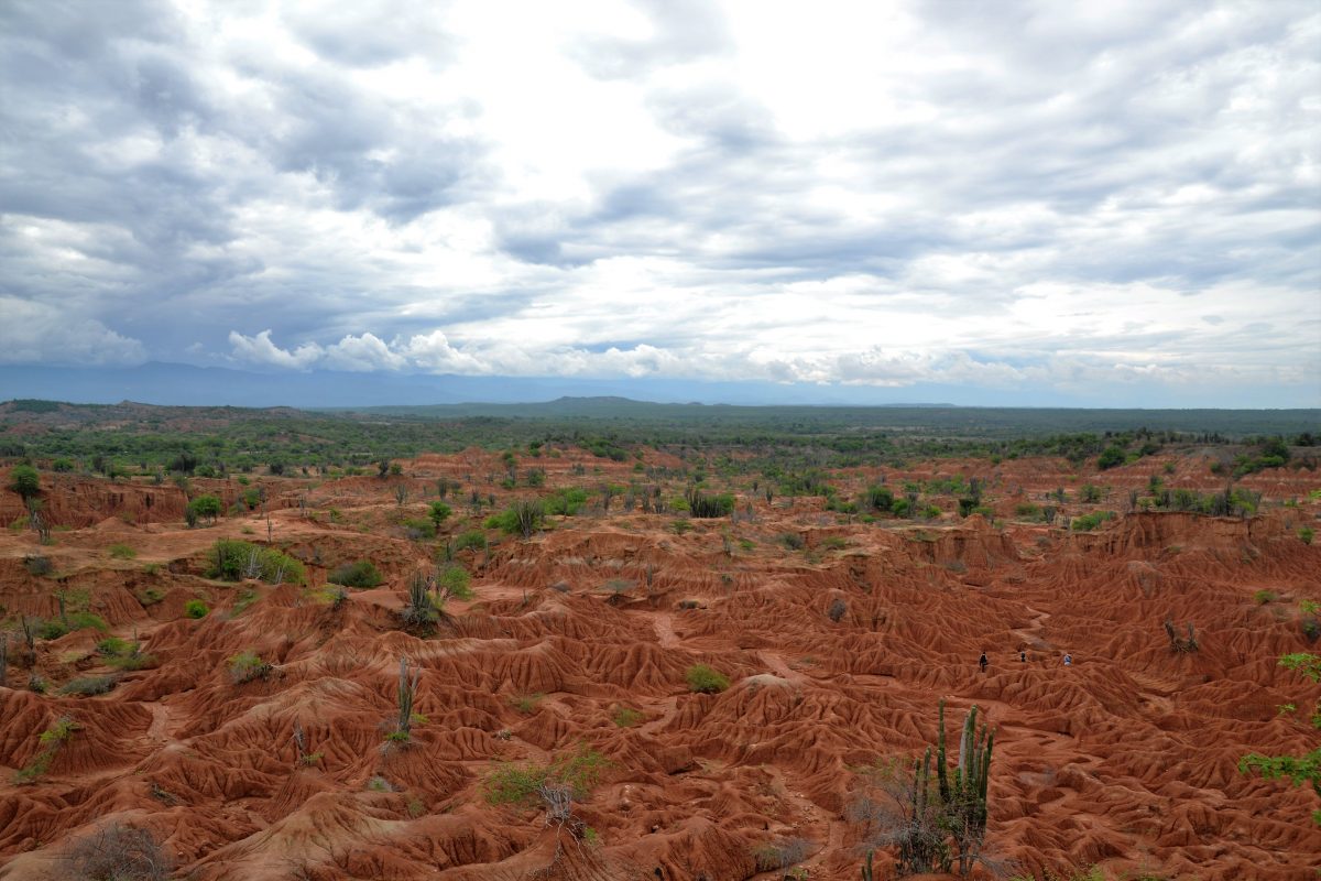 Red tatacoa desert with cacti