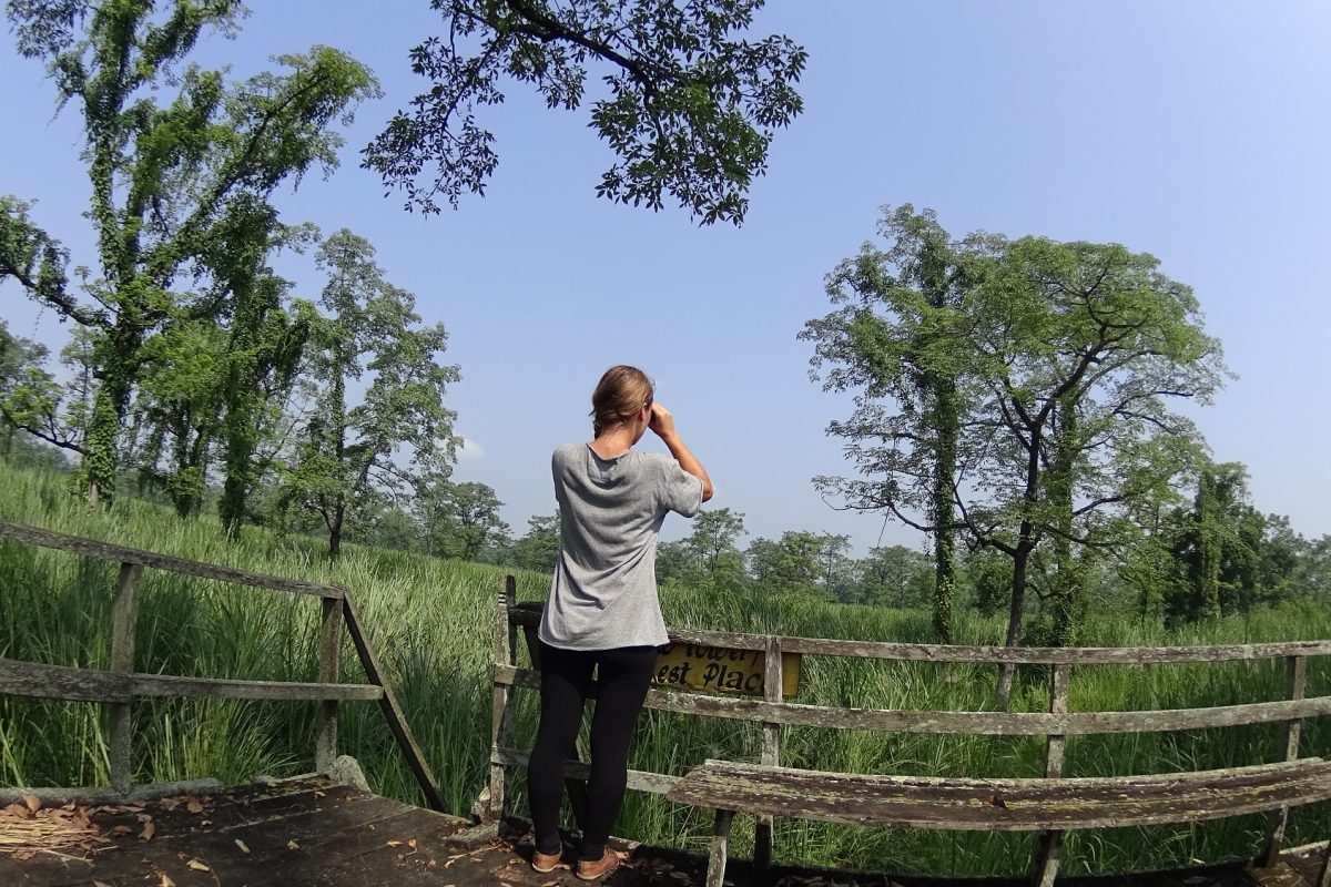 Wildlife safari in Chitwan NAtional Park nepal